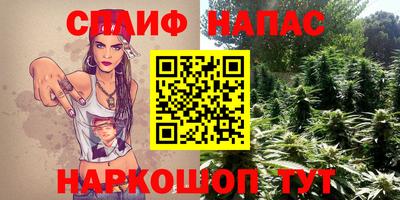 СК Кандалакша