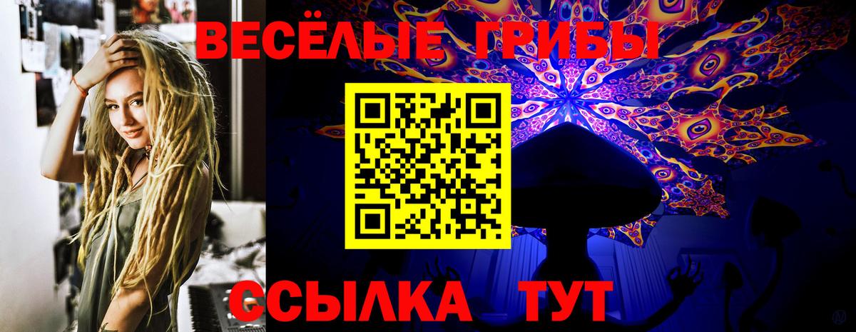 Кстово  Псилоцибиновые грибы Magic Shrooms  Вход с VPN 